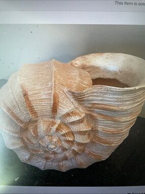 VTG Beautiful Burton+Burton Seashell Planter/Vase